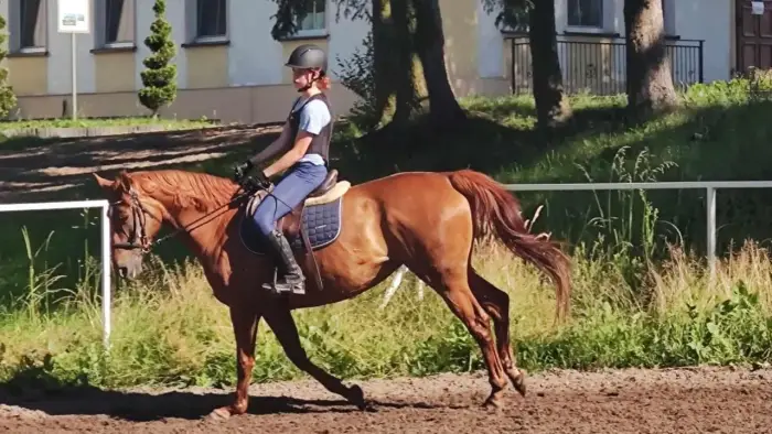 Runowo - kolonia jedziecka My Little Pony