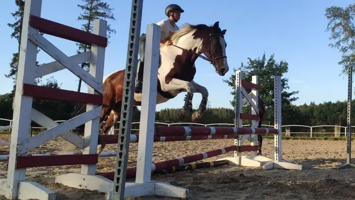 Runowo - kolonia jedziecka My Little Pony