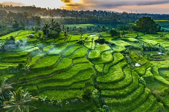 Bali - Wakacje pod palmami - wylot z Warszawy