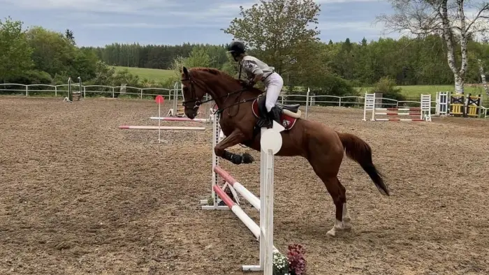 Runowo - ob�z je�dziecki Wakacje w siodle