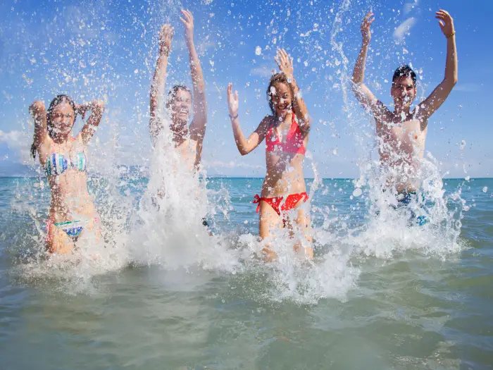 Jastrz�bia G�ra - English Wave Summer