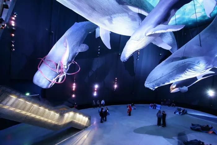 Ko�obrzeg - kolonia