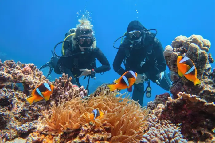 Egipt - Sharm el Sheikh i Kair - Summer Camp 18+ - wylot z Gda�ska, Warszawy (all inclusive)