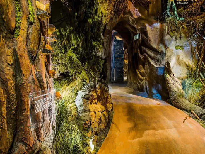 Jaros�awiec - paintball i Archery Tag