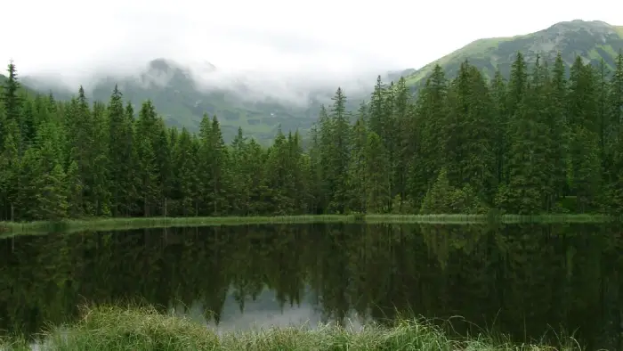 Bukowina Tatrza�ska - ob�z Adventure