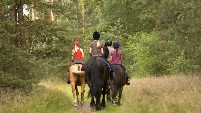 Brenna - Beskidy - rajd konny