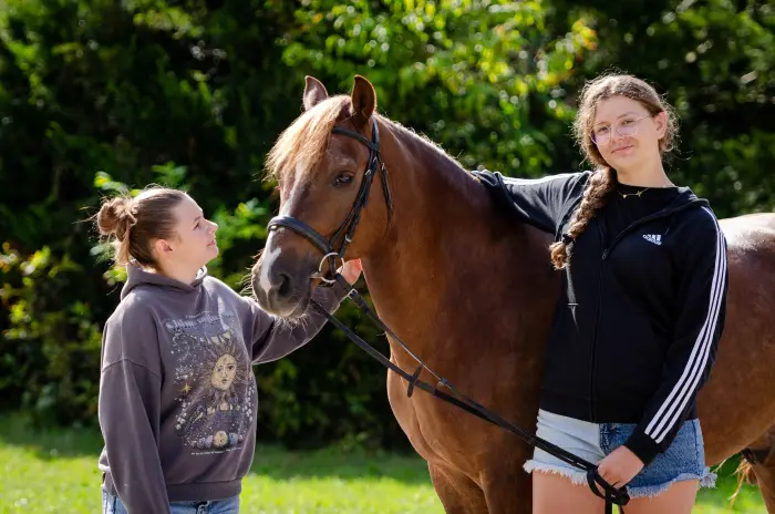 Zbros�awice - kurs pracy z koniem z ziemi