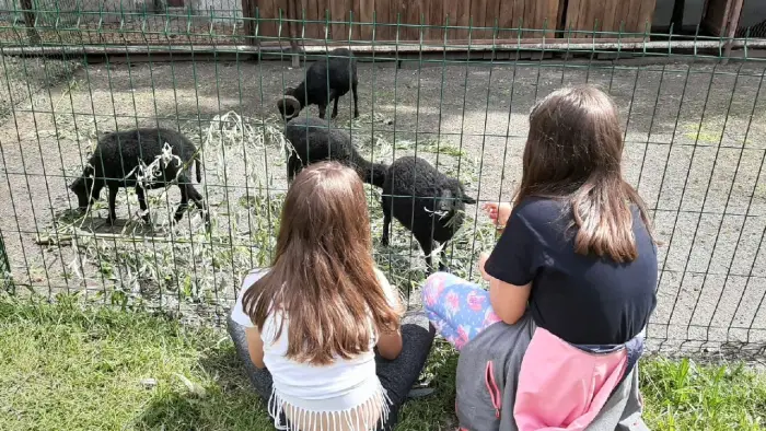 Przysiecz - kolonia plastyczna