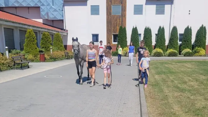 Zakrz�w - kurs jazdy konnej PLUS - Rozw�j je�dziecki
