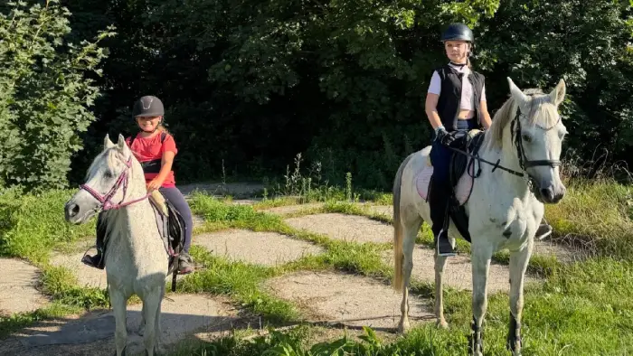 Zakrz�w - kurs jazdy konnej SPORT - Camp Sportowy