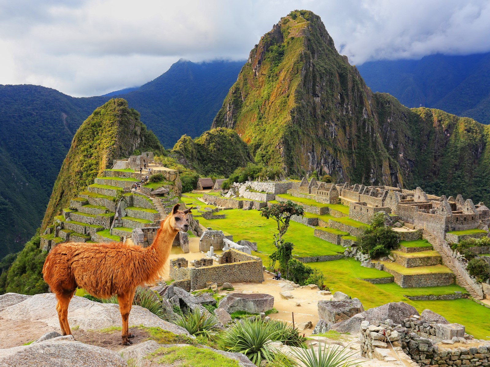 Boliwia, Peru, Ekwador - Trzy skarby Ink�w