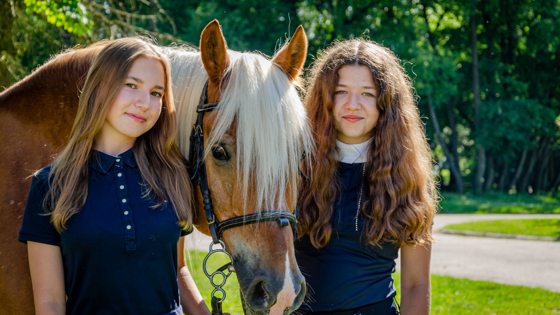 Zbros�awice - ob�z muzyczno-konny