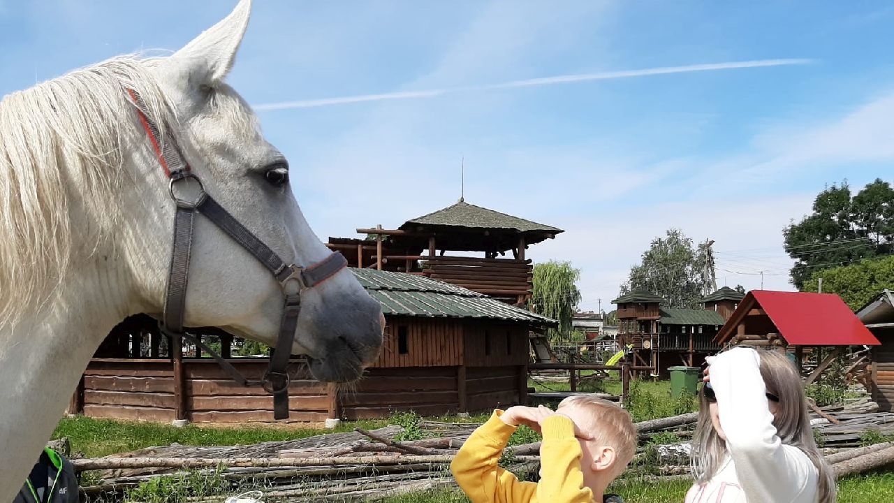 Przysiecz - kolonia rekreacyjna