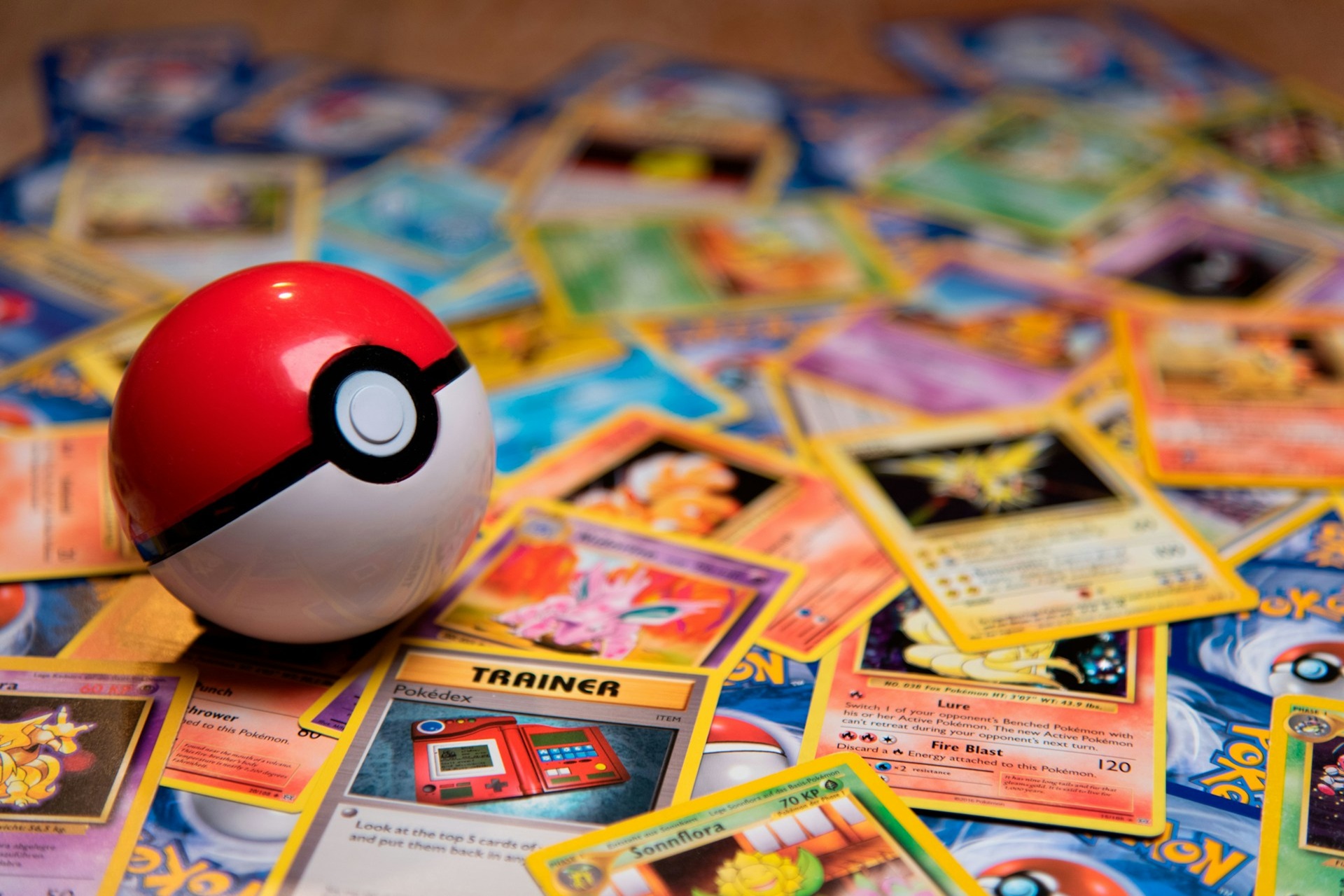 �winouj�cie - ob�z Pokemony